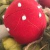thedotys